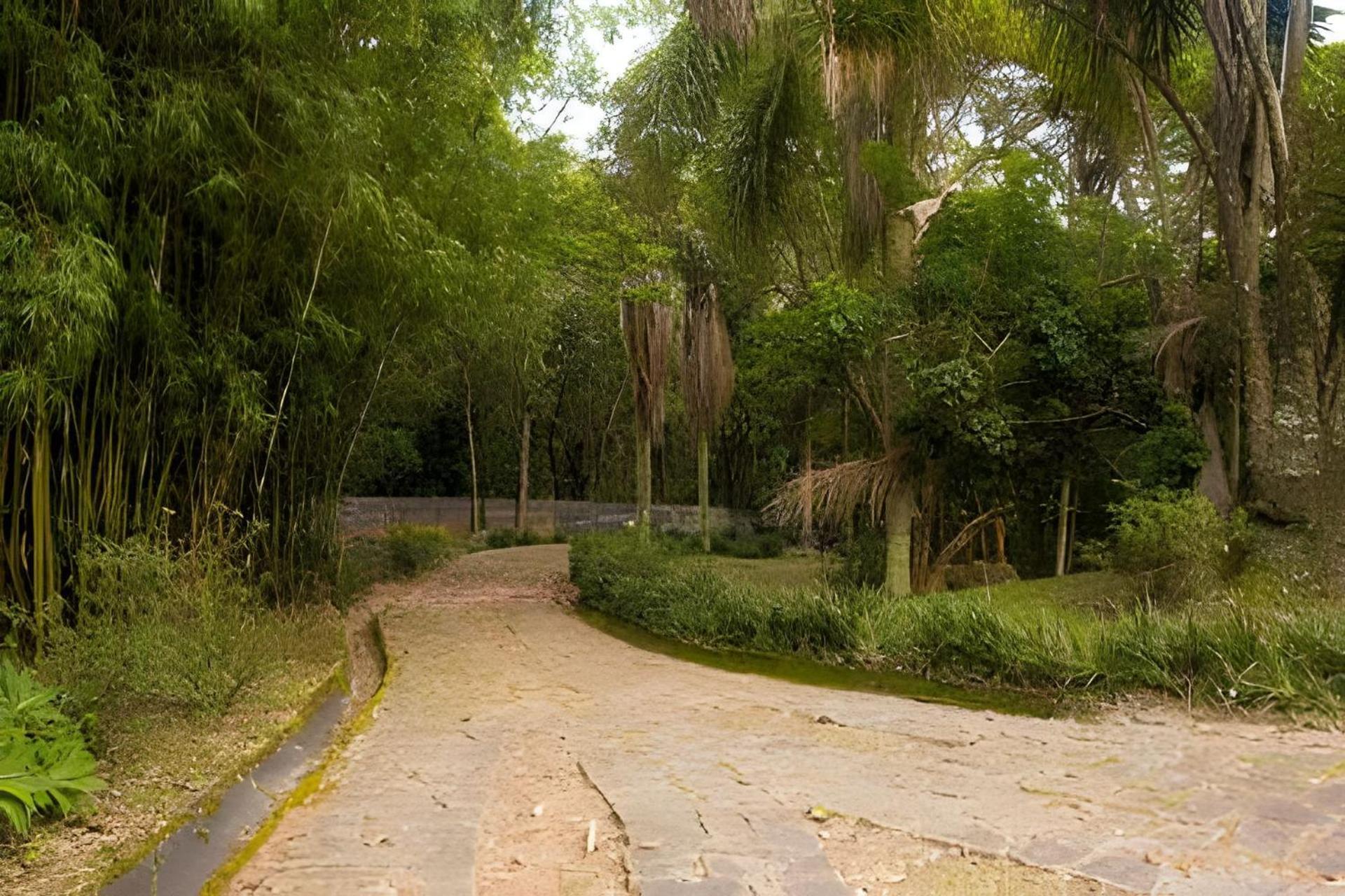 Sitio Em Sao Roque, Paraiso Ao Lado De Sao Paulo! 빌라 외부 사진