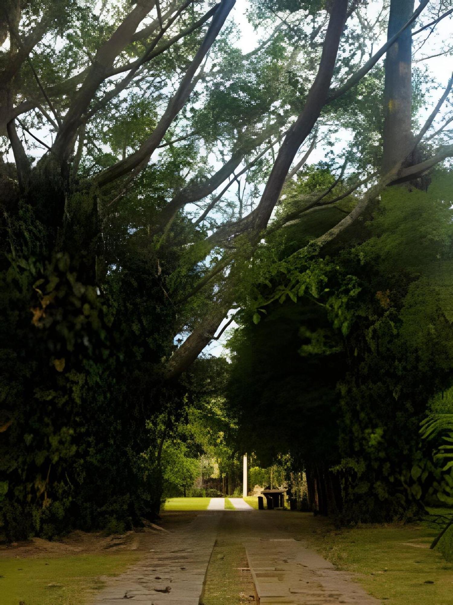 Sitio Em Sao Roque, Paraiso Ao Lado De Sao Paulo! 빌라 외부 사진