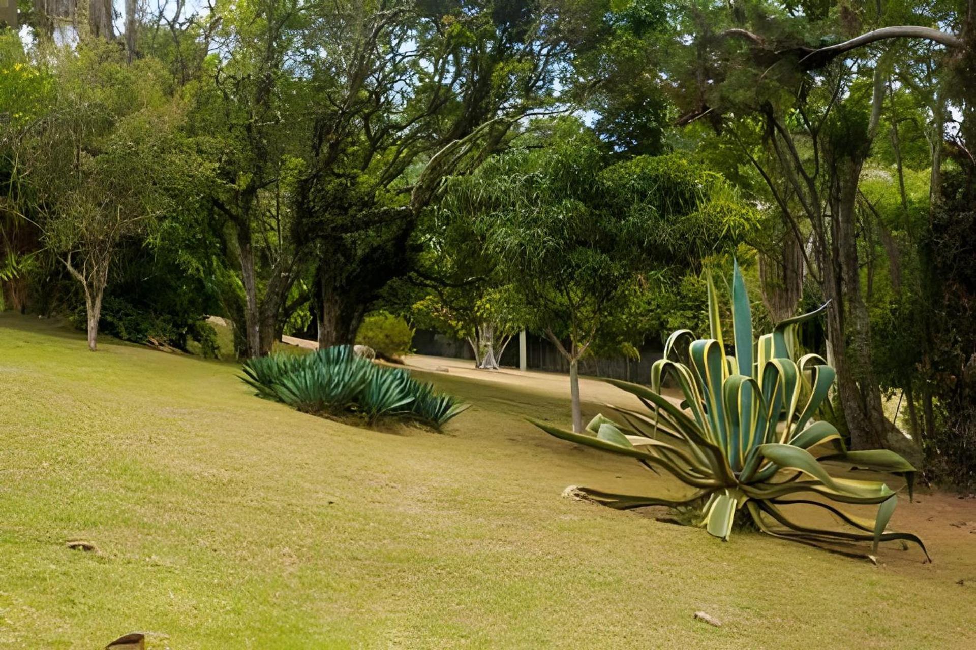 Sitio Em Sao Roque, Paraiso Ao Lado De Sao Paulo! 빌라 외부 사진