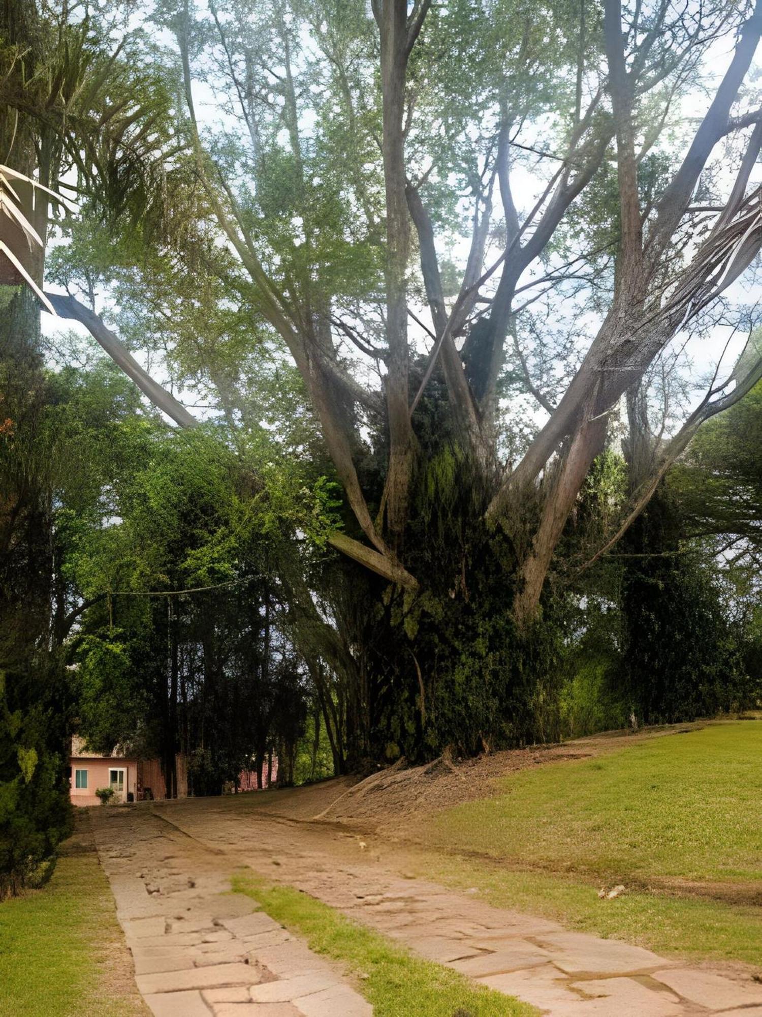 Sitio Em Sao Roque, Paraiso Ao Lado De Sao Paulo! 빌라 외부 사진